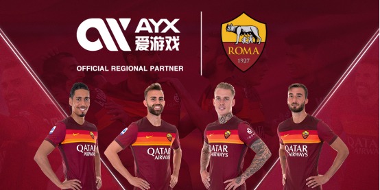 仅是中国的